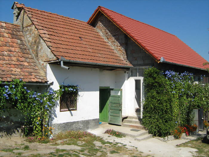 Zorele - Gradina rustica in 2008