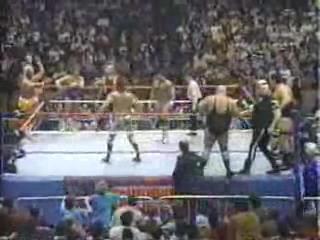 Team_Hogans_vs__Team_Andre_The_Giants