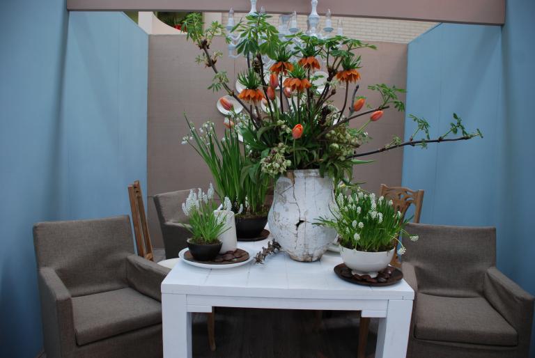 Afbeelding 790 - Keukenhof 2008