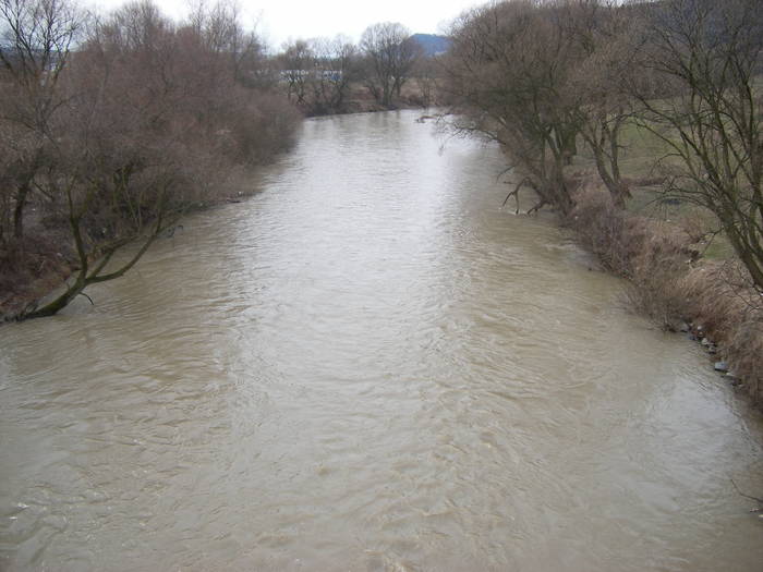 Medias-Tirnava mare in Martie