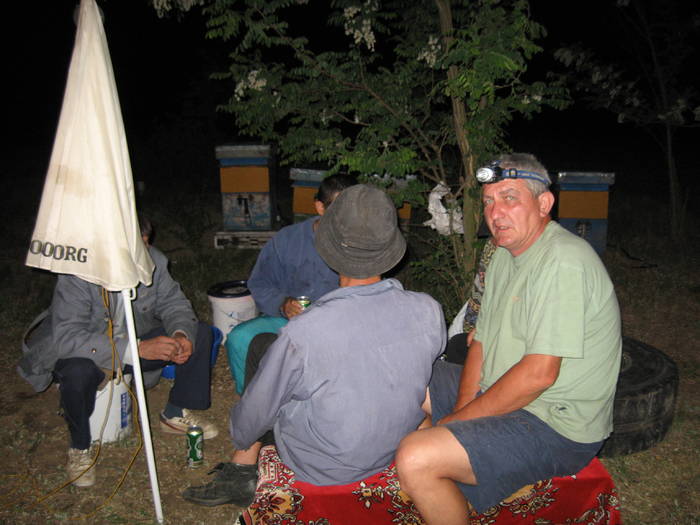 IMG_3447 - salcim I si II 2009