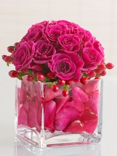 Pink_Flowers