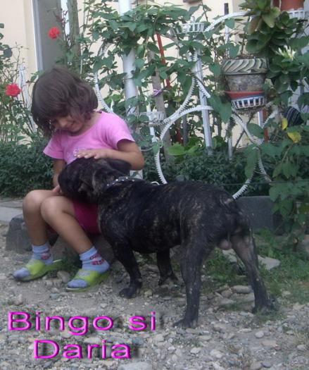 Buldog Francez - animalele si copii mei