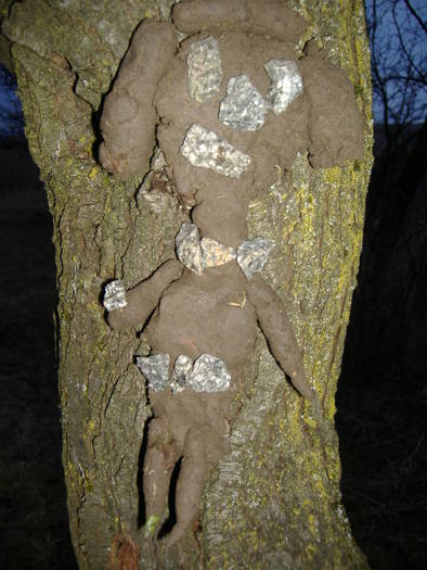 lipita pe un trunchi fiind ideea ei (6 ani)