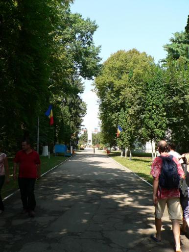 P101008