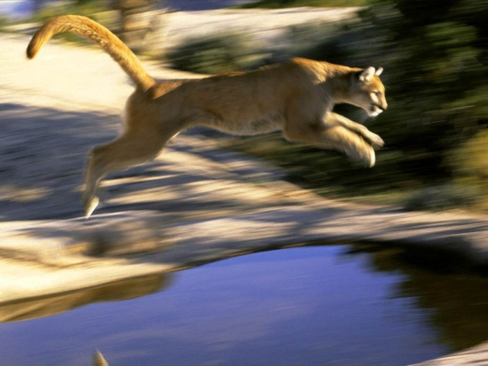 webshots1036 - Toate pozele mele din comp