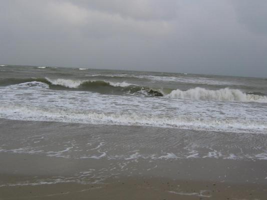 IMG_0098 - BlacKandWhitE SeA