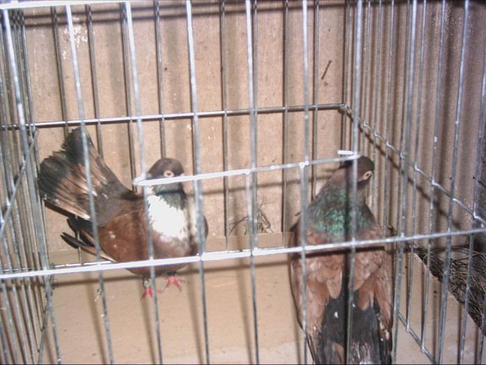 PICT0024