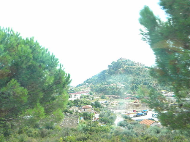 DSCN2474