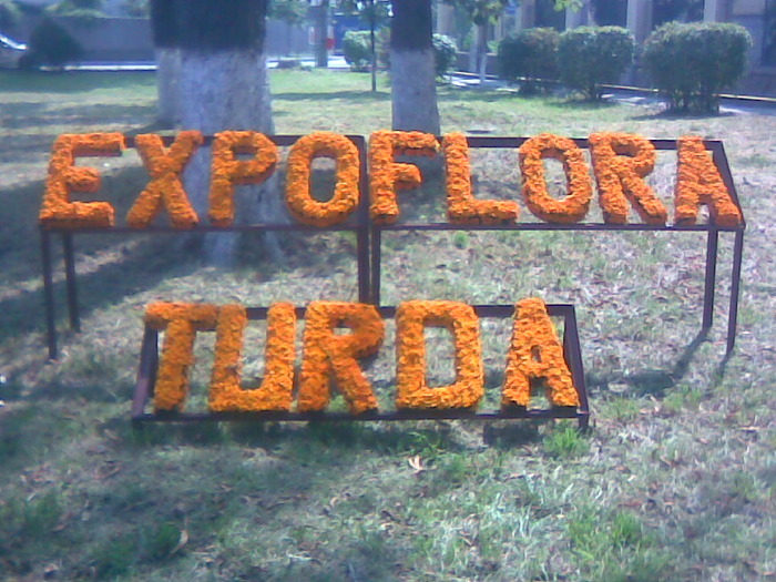 Imag014 - P- Expo Flora Turda