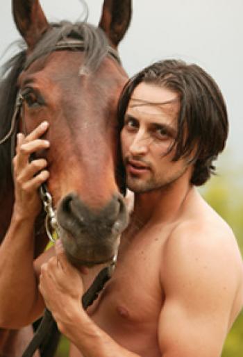 denis - Inima de tigan