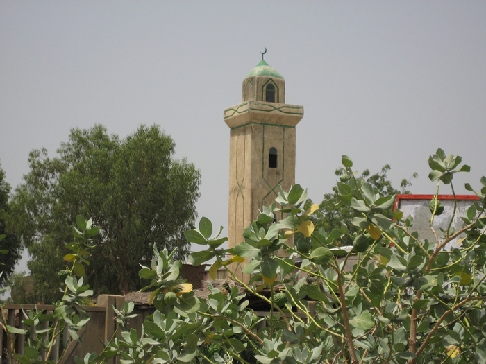 Mosque in Chad - Islamic Architecture Around the World