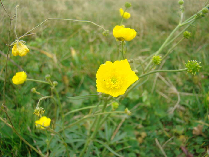 DSC00349