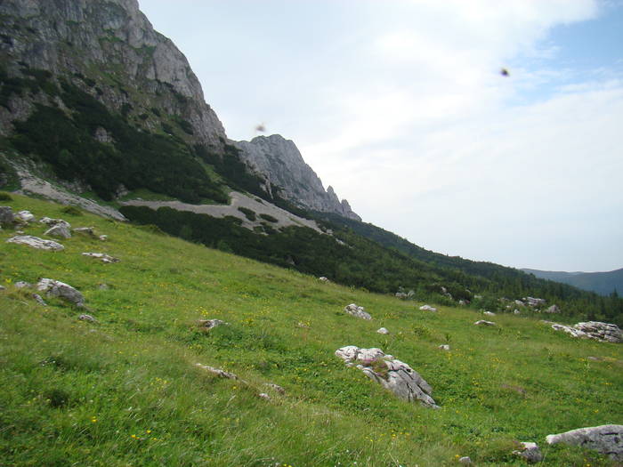 DSC03939 - Concediu 2009