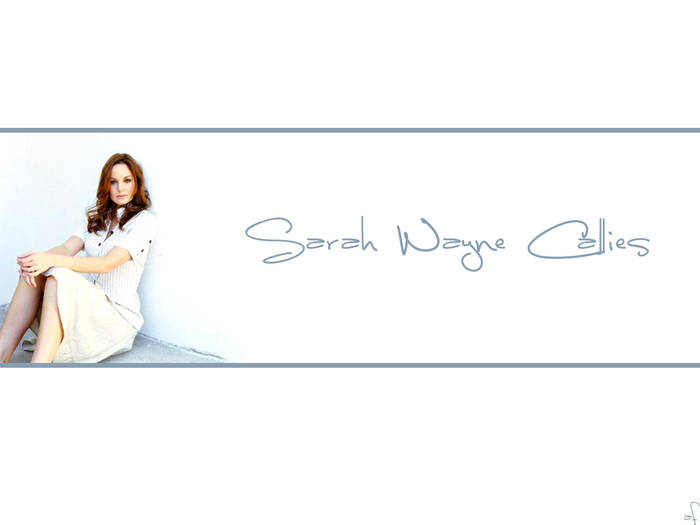 s1 - Sarah-WAYNE-Callies