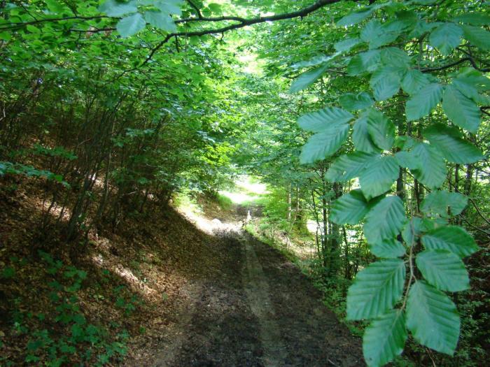 DSC02101 - Concediu 2008