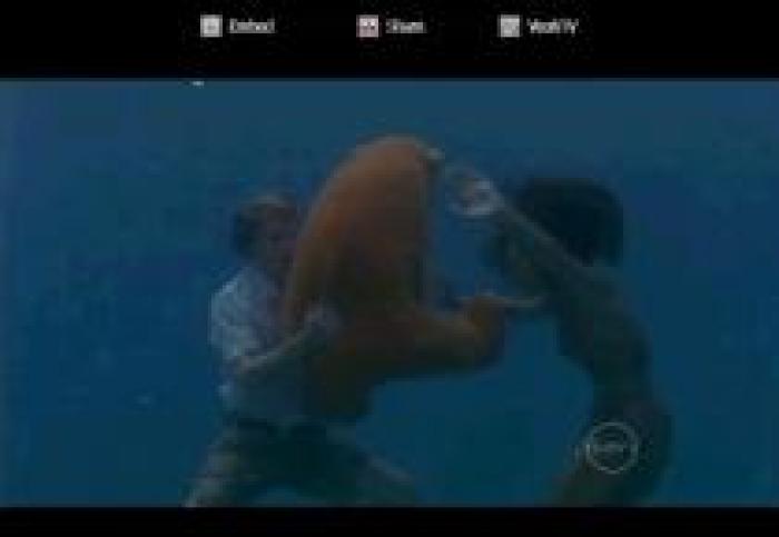 IFQRFBFMSPDQZXSVUER - h2o