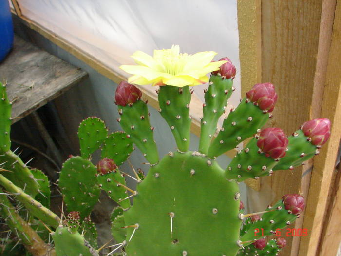 DSC06230