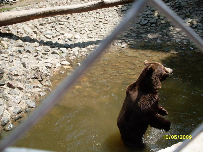 SDC10096 - Gradina zoologica tm