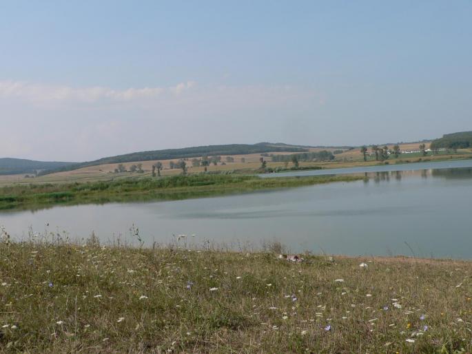 P100078