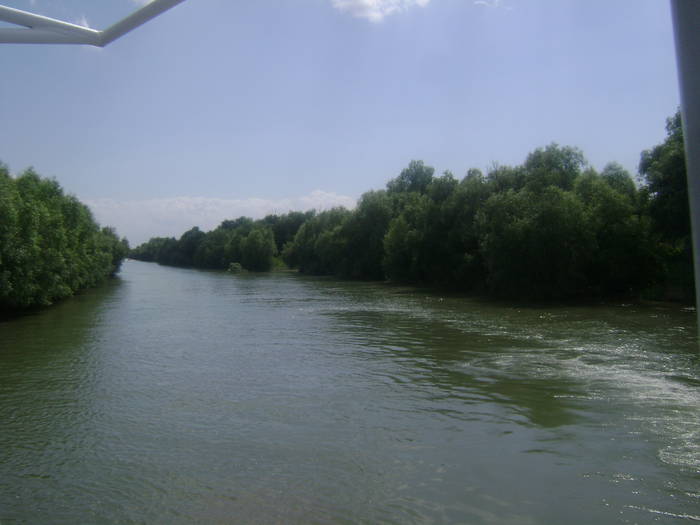 excursie delta dunarii 5062009 089 - EXCURSIE  in DELTA