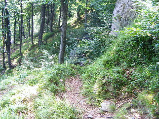 DSCF4504