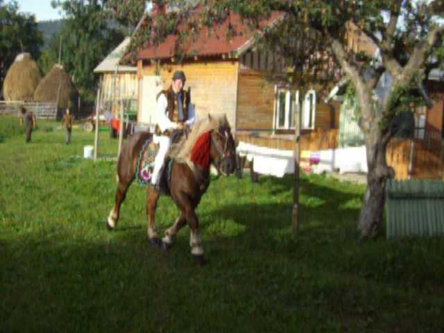 Picture 225 - nunta cu cai in Bucovina 2009 in Campulung moldovensc Suceava