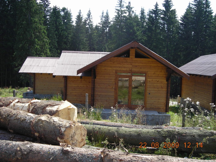 DSCN9302 - Sinaia 23 08 2009