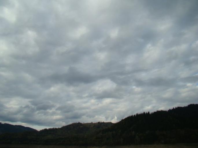 DSC03732