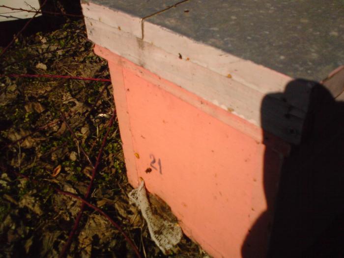 DSC00002