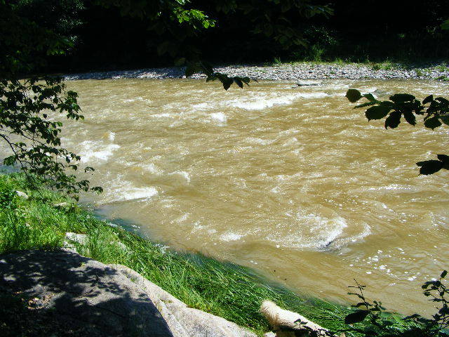 DSCF2456