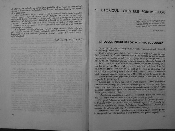 rasele de porumbei din romania -bonatiu 003 - Carti despre Porumbei - - Books about Pigeons