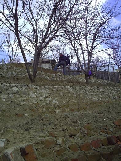 PICT0006 - GRADINA-2009