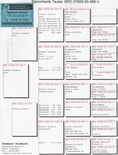 Schwarz Richard - Philip Bassel pedigree