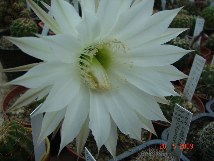 DSC05874