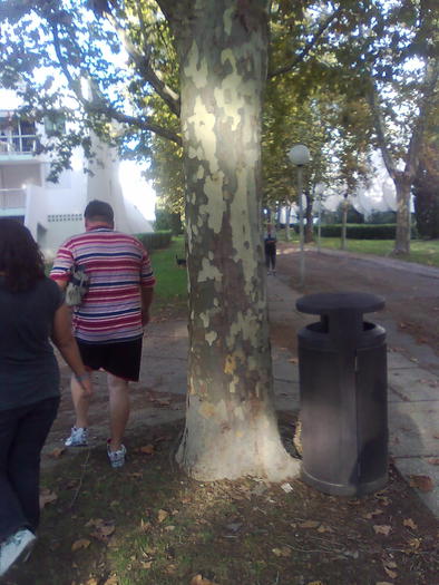 doctoru si Mimi la pas - ApiMondia