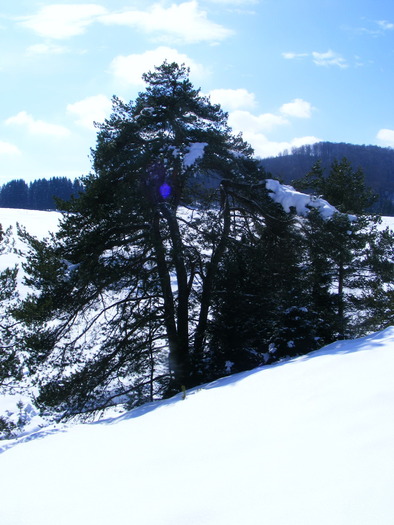 DSCF6959