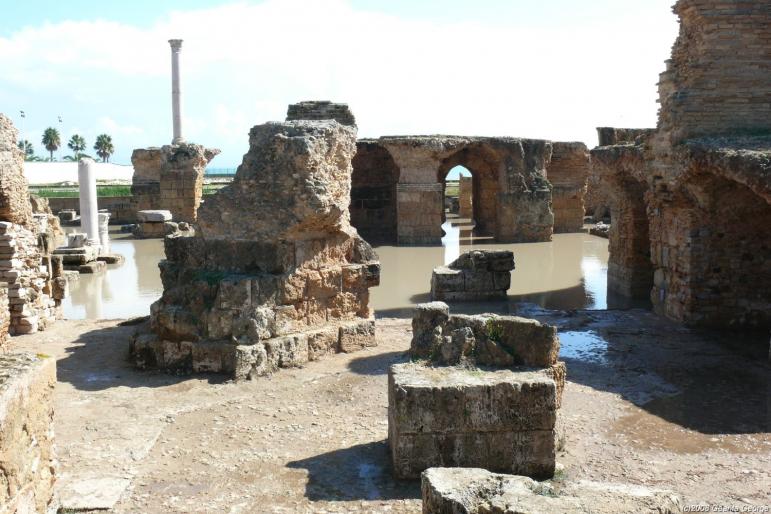 Tunisia_697 - Tunisia