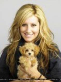 BK1S0YI8SC0WNID98R1G84CQ1[1] - poze ashley tisdale