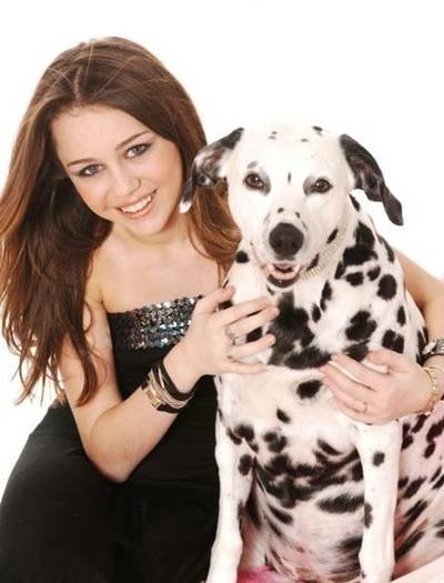 Miley_Dog