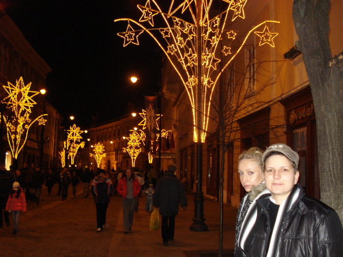 DSC06341 - 2010 REVELION SIBIU
