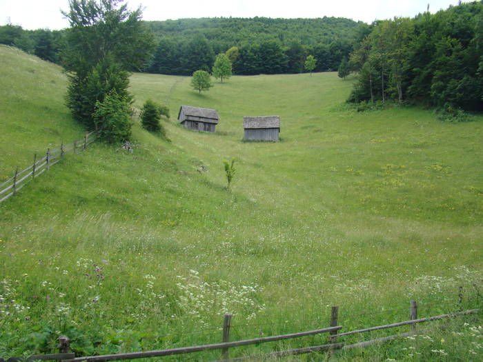 DSC03885 - Concediu 2009