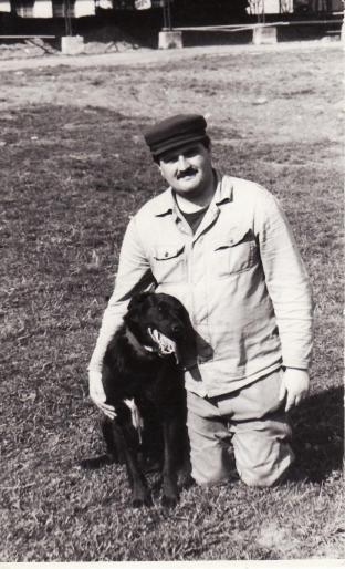 jimy-super caine de paza