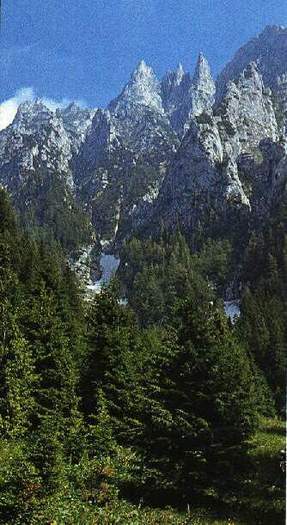 Vara la munte - Imagini Romania