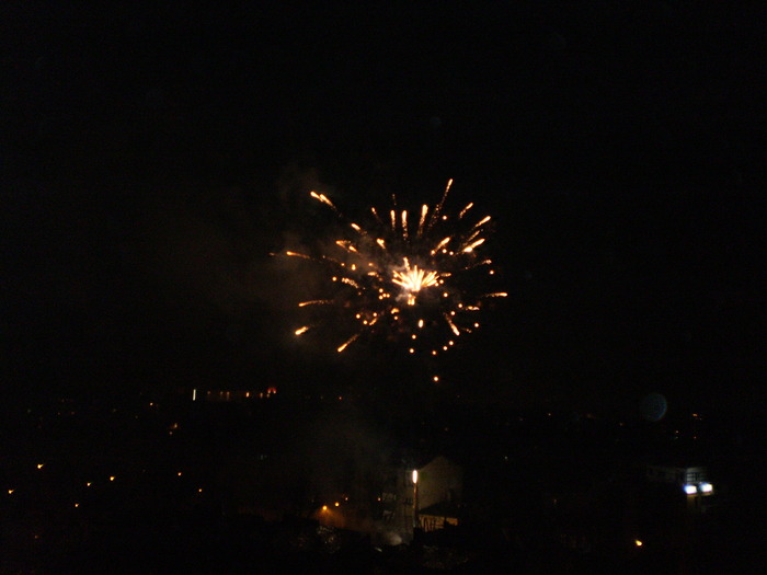 PB210280 - REVELION 2010