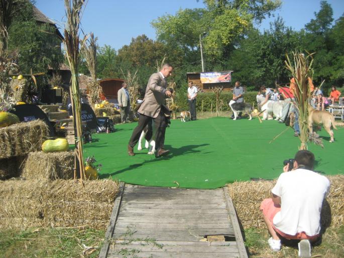 IMG_3283 - EXPO Tg Mures 2008