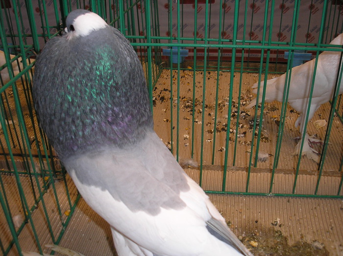 P1010174