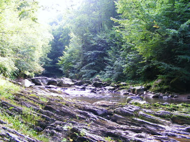 DSCF5101