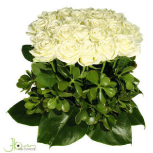 de la vanneandashley