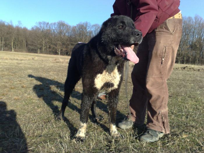 02072009840; 15 luni
